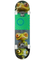 Deska kompletna  Push - Gecko FP (green)