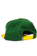 Czapka z daszkiem DGK - Team Indica Snapback (green)