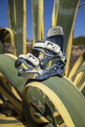 Damskie wiązania Arbor - Acacia (slate) II