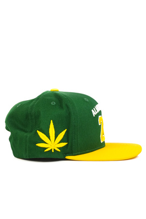 Czapka z daszkiem DGK - Team Indica Snapback (green)
