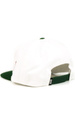 Czapka z daszkiem DGK - Team Indica Snapback (white)