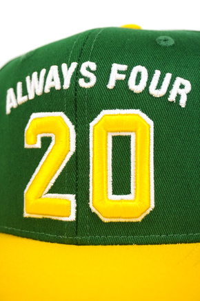 Czapka z daszkiem DGK - Team Indica Snapback (green)