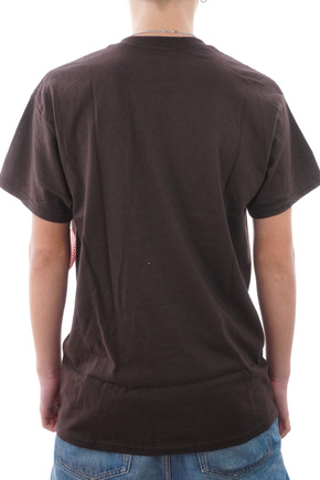 Koszulka Spitfire - Old E FD FL (chocolate)