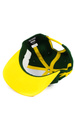Czapka z daszkiem DGK - Team Indica Snapback (green)