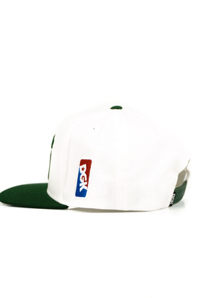 Czapka z daszkiem DGK - Team Indica Snapback (white)