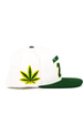 Czapka z daszkiem DGK - Team Indica Snapback (white)