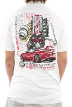 Koszulka DGK - Syndicate (white)