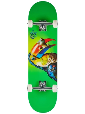 Deska kompletna Push - Toucan Fade FP (green)