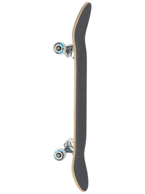 Deska kompletna  Push - Toucan Fade FP (green)