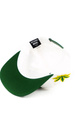 Czapka z daszkiem DGK - Team Indica Snapback (white)