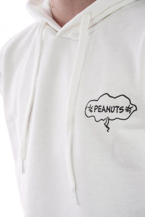 Bluza z kapturem Element x Peanuts Slide (white)