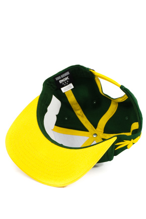 Czapka z daszkiem DGK - Team Indica Snapback (green)