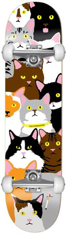 Deska kompletna Enjoi - Cat collage YOUTH (multi)