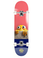 Deska kompletna Push - Peek Over Soft Top FP (salomon/blue)