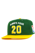 Czapka z daszkiem DGK - Team Indica Snapback (green)