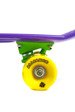 Cruiser Alliance 01 Purple/Yellow/Green